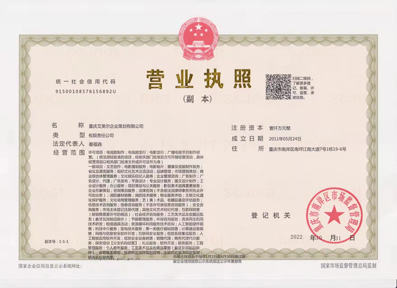 企业营业执照